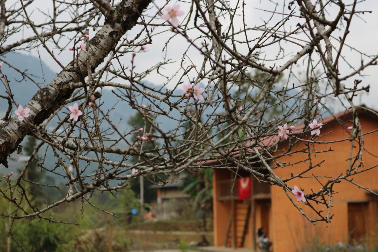 Huy Man Homestay Ha Giang Extérieur photo
