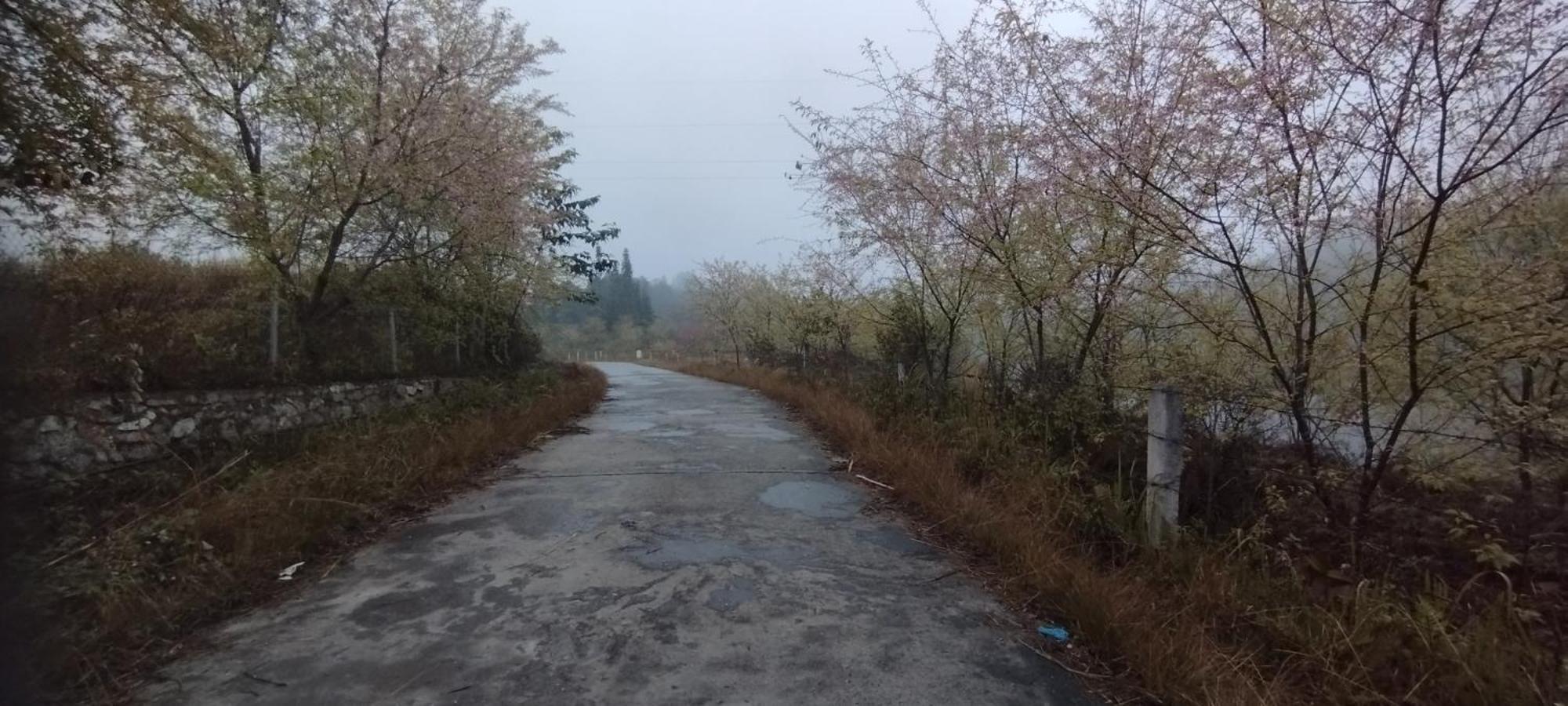 Huy Man Homestay Ha Giang Extérieur photo