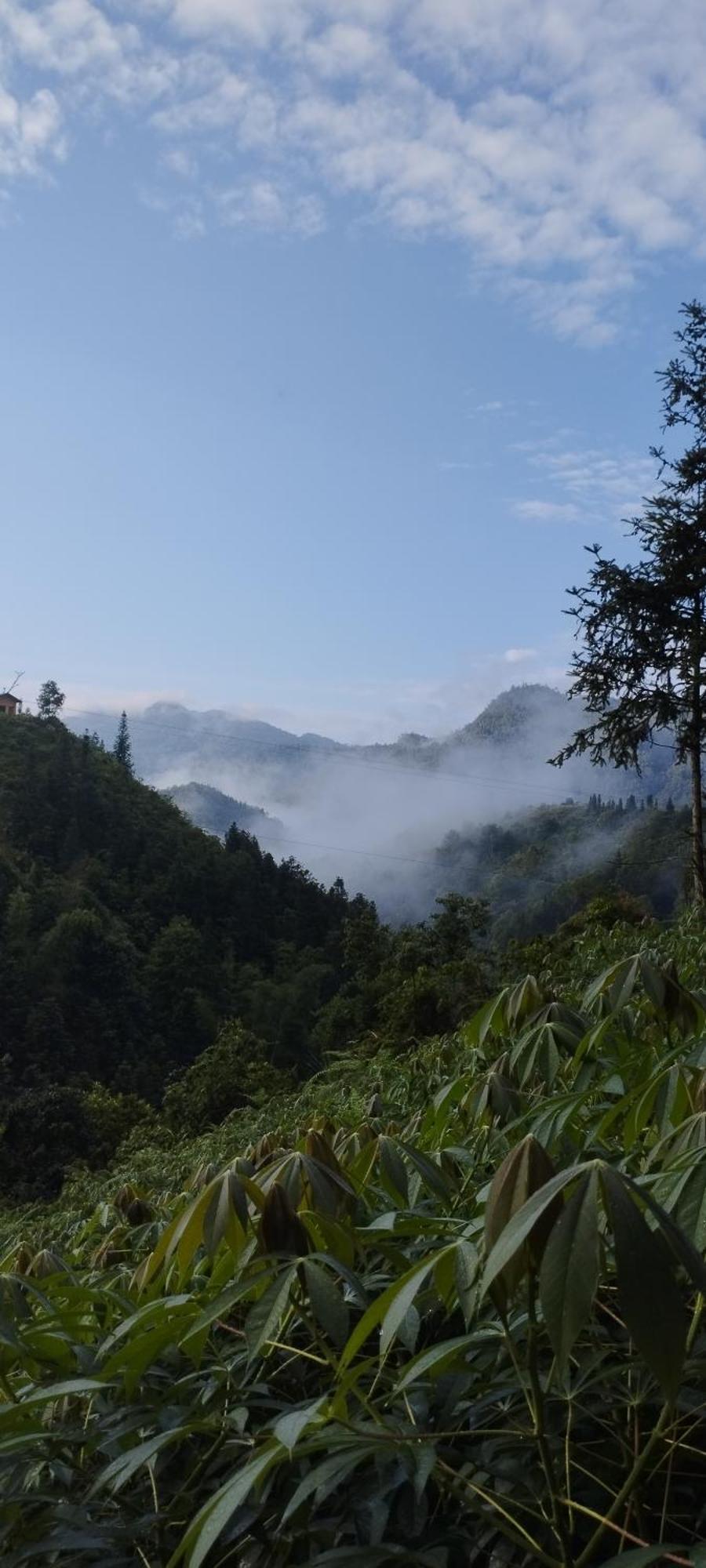 Huy Man Homestay Ha Giang Extérieur photo