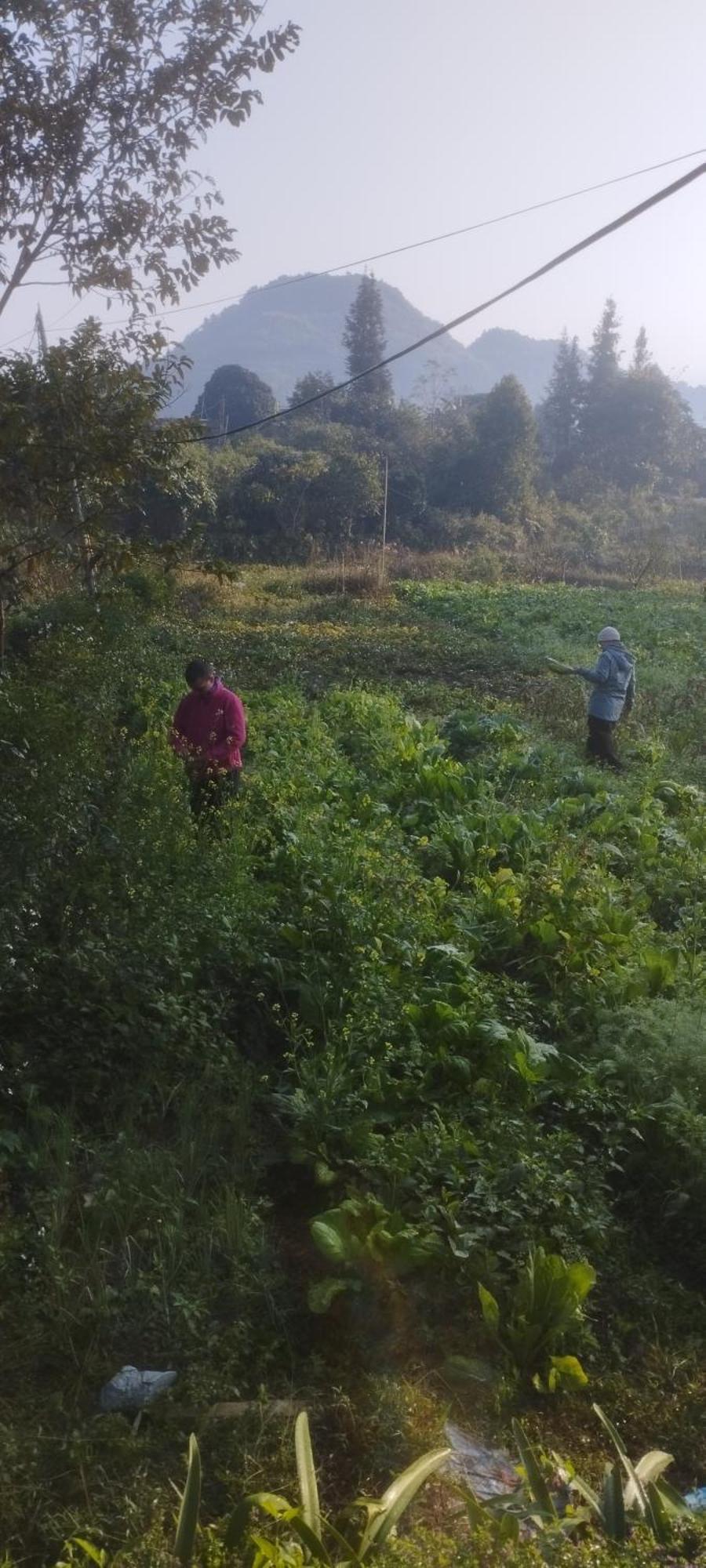 Huy Man Homestay Ha Giang Extérieur photo